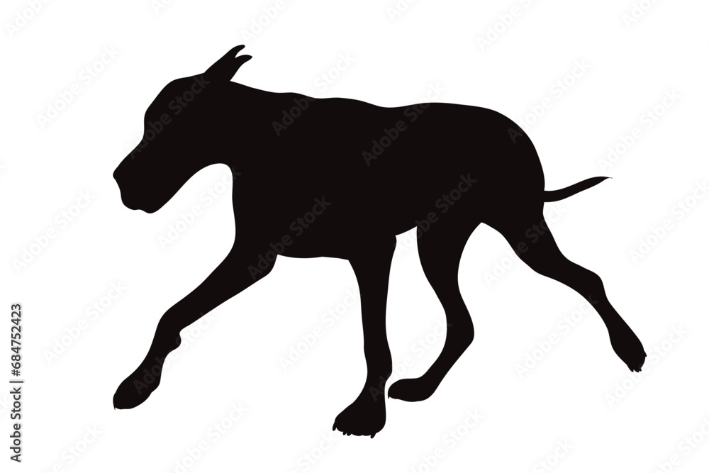 Fototapeta premium Vector silhouette of Great Dane on white background. Symbol of pet and breed.