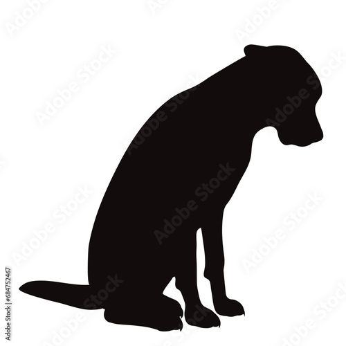 Vector silhouette of Great Dane on white background. Symbol of pet and breed.