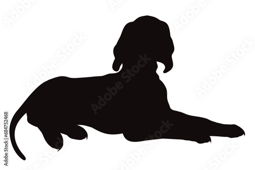 Vector silhouette of Great Dane on white background. Symbol of pet and breed.