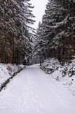 Erste Winterwanderung durch den verschneiten Thüringer Wald am Bahnhof Rennsteig - Thüringen - Deutschland