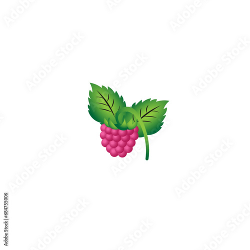 Raspberry fruit with foliage on a white background. Vector illustration