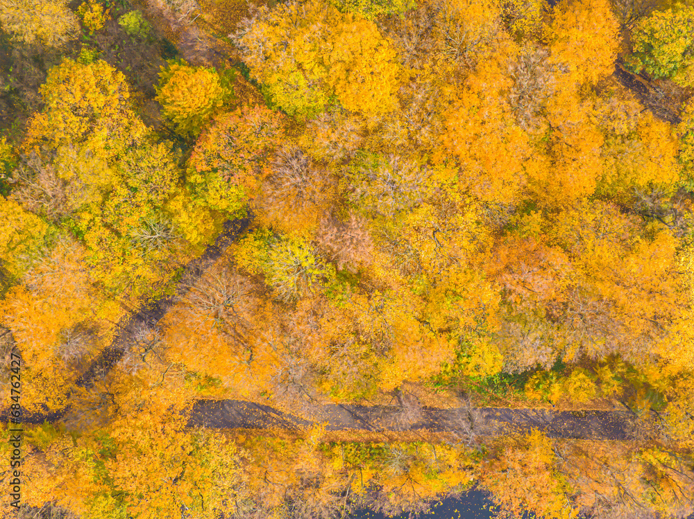Aerial view of a rural road with in yellow and orange autumn forest.Beautiful autumn landscape.Drone flying above mountain road surrounded by beautiful vibrant colorful forest. Aerial view of a rural road with in yellow and orange autumn forest.Beautiful autumn landscape.Drone flying above mountain road surrounded by beautiful vibrant colorful forest.