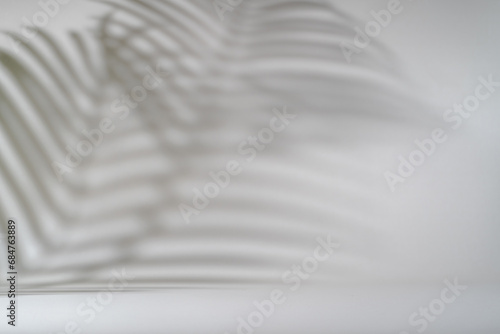 Shadow of tropical palm leaves on white wall. Minimal abstract light white background for product presentation.