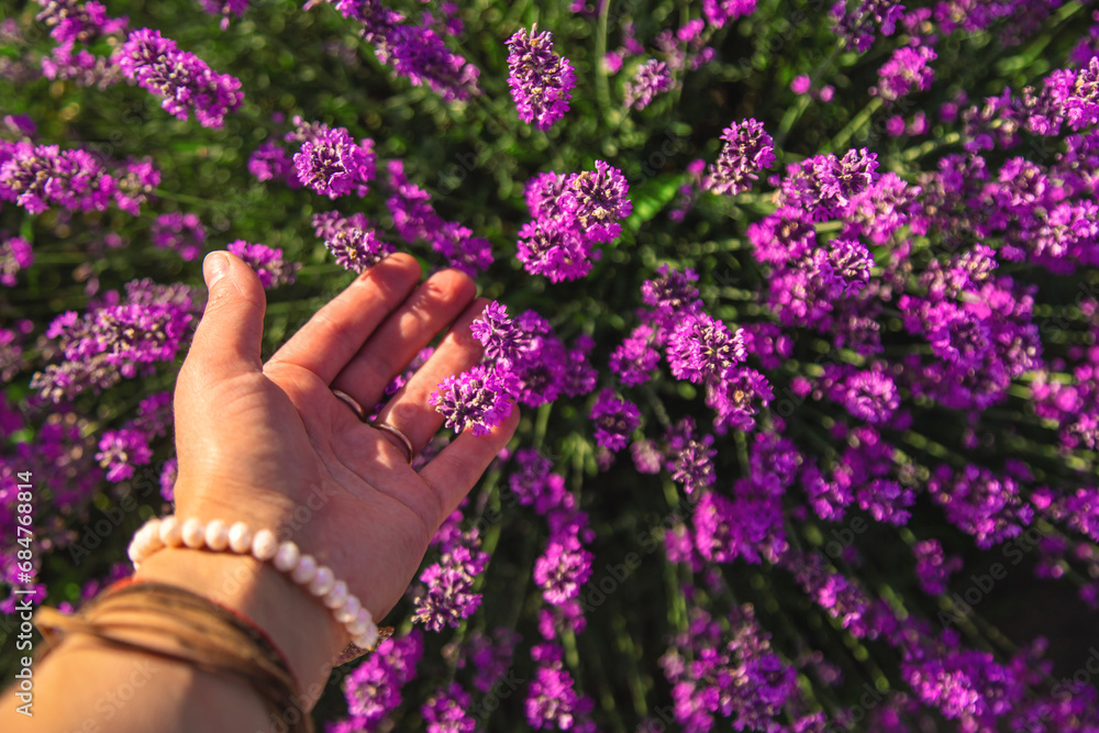 Woman in a lavender field. Selective focus. Woman in a lavender field. Selective focus.