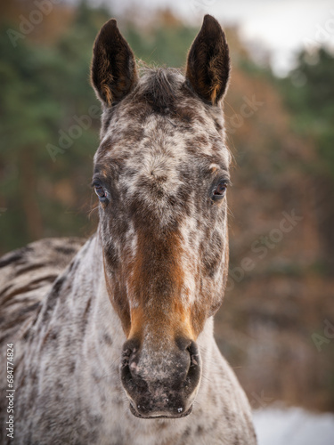 Unexpected encounter - Unerwartete Begegnung photo