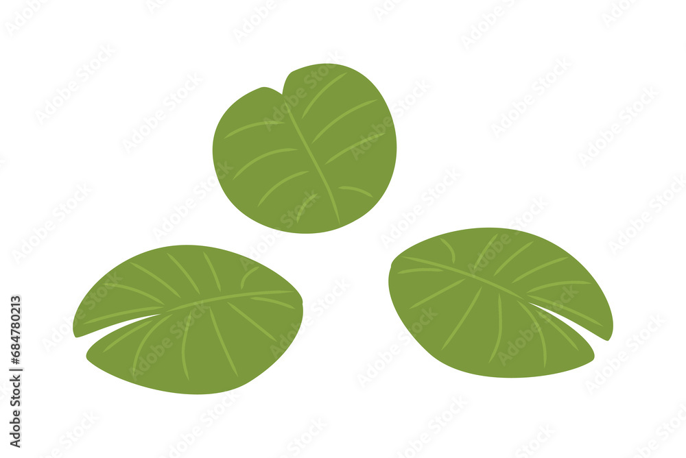 Lotus aquatic plant. Bloom and blossom flower. Green water lilly leaves. Beauty, elegance and aesthetics. Template and layout. Cartoon flat vector illustration isolated on white background
