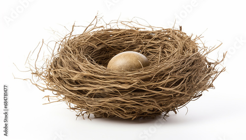 Nest with egg on a white background