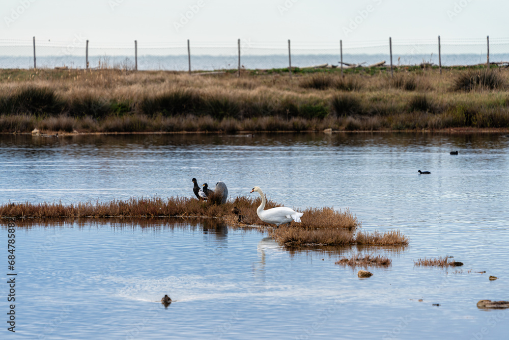 Scenic sight in Tarquinia salt flats natural reserve. Province of Viterbo, Lazio, Italy. Scenic sight in Tarquinia salt flats natural reserve. Province of Viterbo, Lazio, Italy.