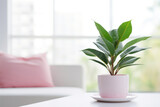 Green plant with long, slender leaves placed in white pot on white coffee table in front of pink sofa. Cozy and comfortable living room with minimal and elegant design.