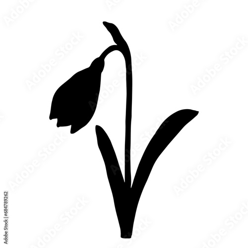 Silhouette of a spring snowdrop flower. Vector graphics.