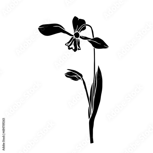Silhouette of a spring snowdrop flower. Vector graphics.