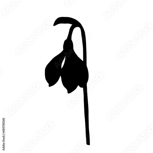 Silhouette of a spring snowdrop flower. Vector graphics.