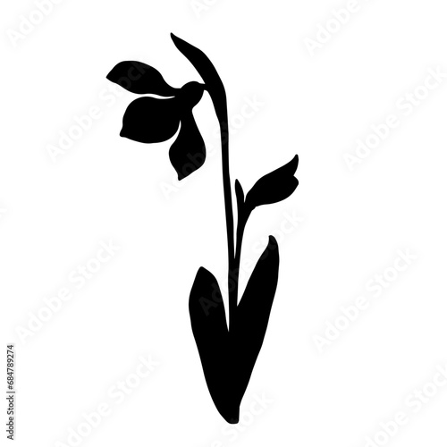 Silhouette of a spring snowdrop flower. Vector graphics.