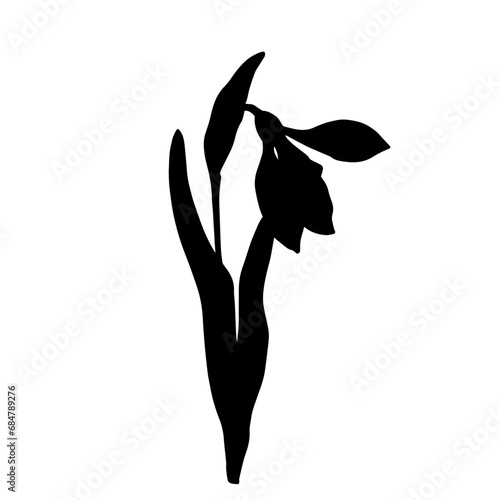 Silhouette of a spring snowdrop flower. Vector graphics.