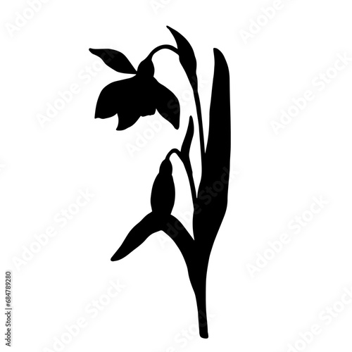 Silhouette of a spring snowdrop flower. Vector graphics.