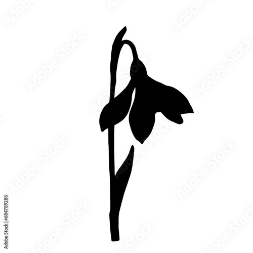 Silhouette of a spring snowdrop flower. Vector graphics.