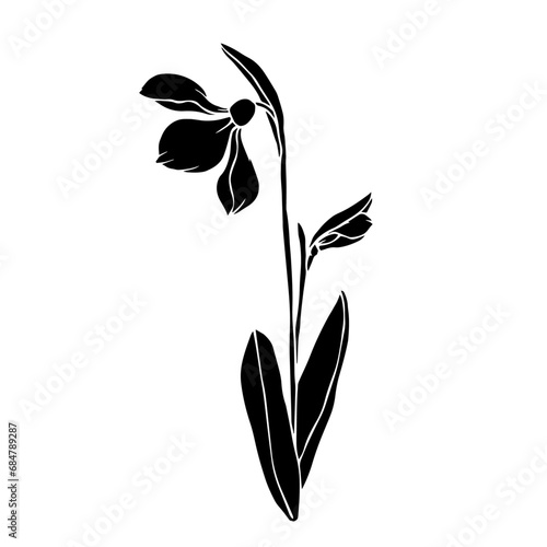 Silhouette of a spring snowdrop flower. Vector graphics.