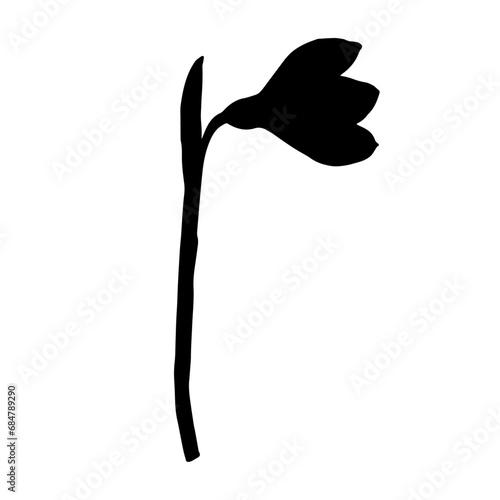 Silhouette of a spring snowdrop flower. Vector graphics.