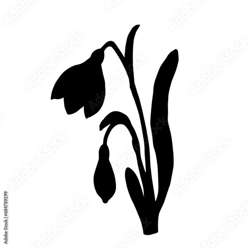 Silhouette of a spring snowdrop flower. Vector graphics.
