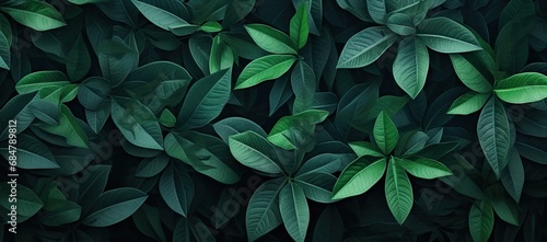  a bunch of green leaves on top of a black background with green leaves on the top of the leaves and the bottom of the leaves on the top of the top of the leaves.