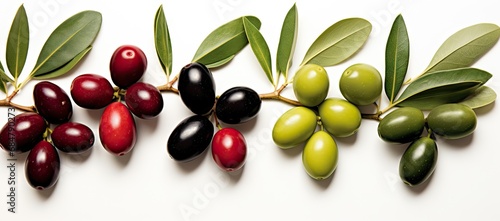  a group of different types of olives on a branch with leaves on the top and bottom of the branch.