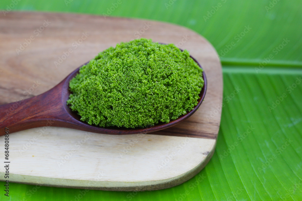 Wolffia globosa or swamp algae, water meal Wolffia globosa or swamp algae, water meal