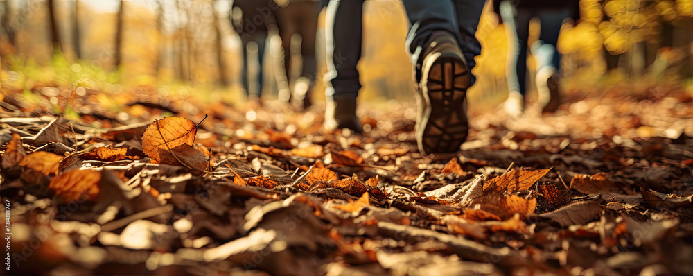 back view of the sneakers many tourist in the forest, autumn season back view of the sneakers many tourist in the forest, autumn season