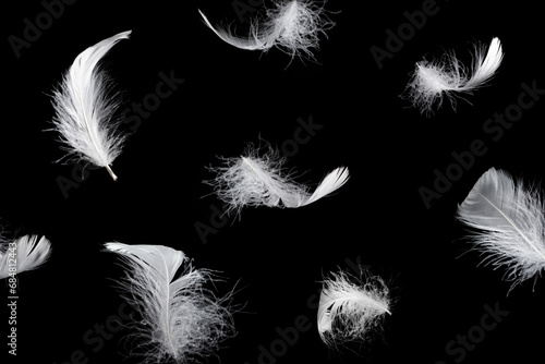 White feather isolated on a black background. photo