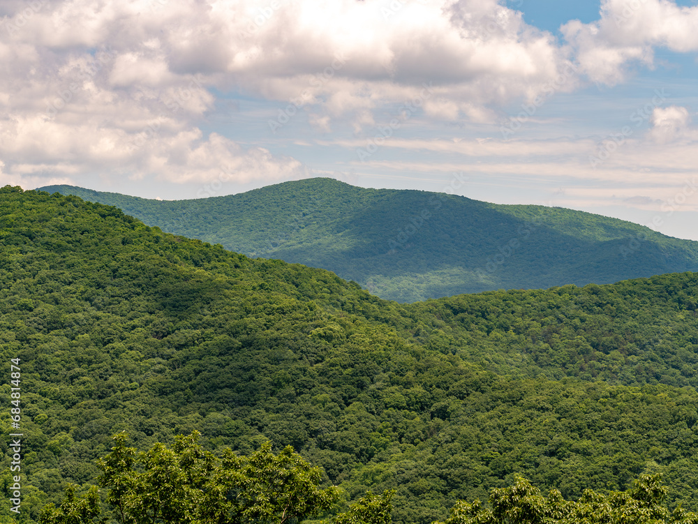 Smoky Mountains, Appalachian Mountains, Beautiful Landscape of Trees and Sky During Summer in the Eastern United States 19