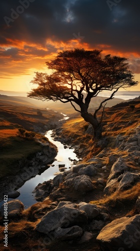 Softly lit landscape