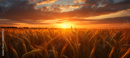 Wheat field on sunset © Kateryna Kordubailo