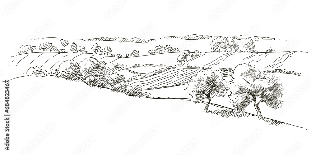 Green grass field on small hills. Meadow, alkali, lye, grassland, pommel, lea, pasturage, farm. Rural scenery landscape panorama of countryside pastures. Sketch illustration - obrazy, fototapety, plakaty 