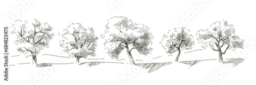 Rural summer landscape a field of ripe wheat on hills and dales in the background. A trees, plants, forest panorama. Hand drawn vector sketch illustration.