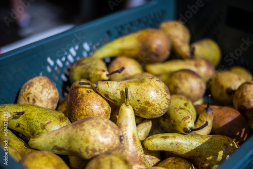 A plastic box full of green sweet organic butter pears on the market.