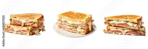 Set of gourmet French croque-monsieur sandwich side view isolated transparent