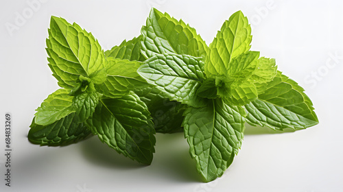 Fresh raw mint leaf or melissa leaves isolated. Full depth of field