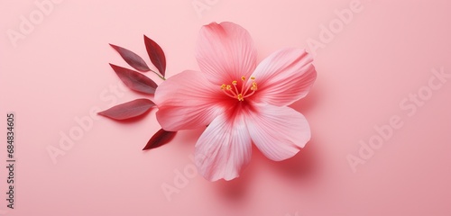 Create a realistic top-view image of a captivating pink flower on an isolated pink background. © M Arif