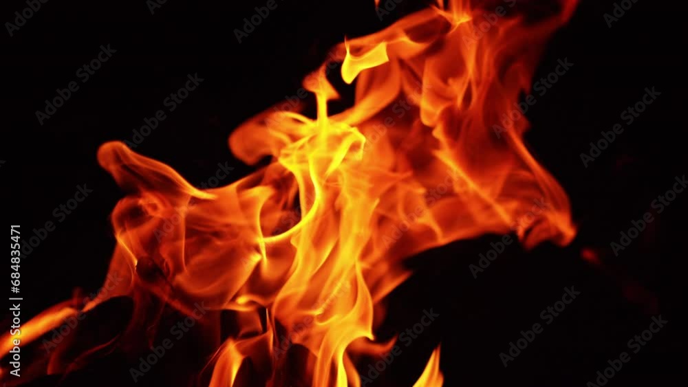 Tree branches burning in the big bonfire. Campfire isolated on the black backdrop. Tree branches burning in the big bonfire. Campfire isolated on the black backdrop.