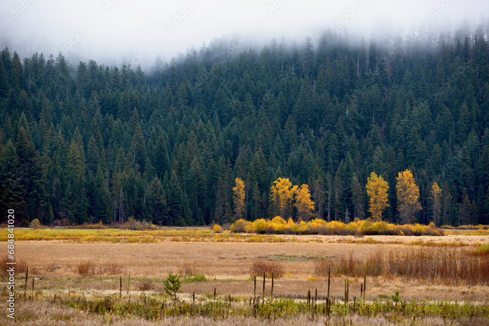 Φωτογραφία Landscape autumn scenery along the McKenzie Pass in Oregon, USA