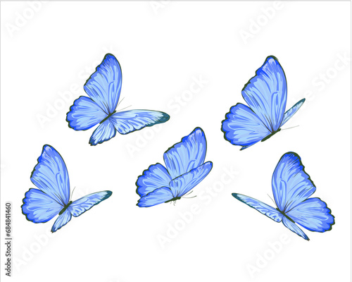 collection of butterflies © ulucsevda