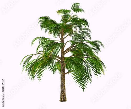 Archaeopteris Devonian Tree - Archaeopteris is one of Earth   s earliest trees  if not the earliest. Like all Devonian vegetation  it used to grow close to waters. Diffused in both Laurasia and Gondwana