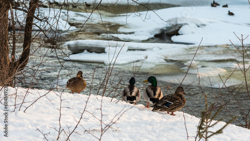 Walking in a winter day