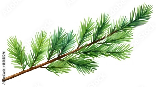 Pine branch isolated on white background. Watercolor hand drawn illustration Generative AI