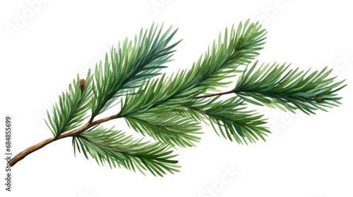 Watercolor fir branch isolated on white background. Hand drawn illustration. Generative AI