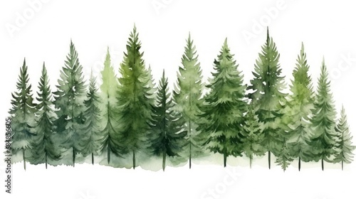 Evergreen Trees  Watercolor Hand Painted Stains AI Generated