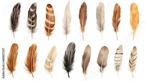 Brown Feathers Collection on White Background AI Generated © Alex