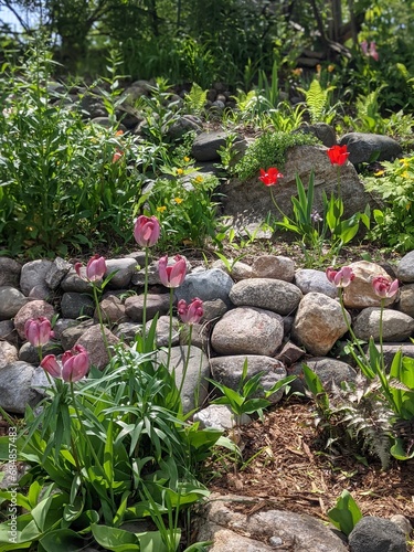 Stone wall in garden