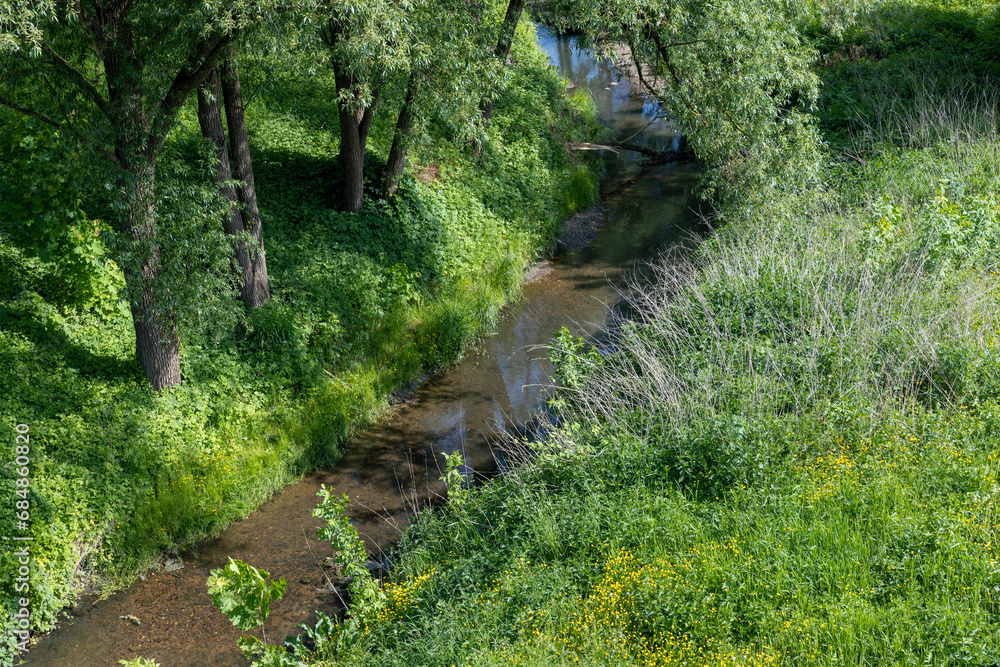 grass and trees growing on the birch of a small river in summer grass and trees growing on the birch of a small river in summer