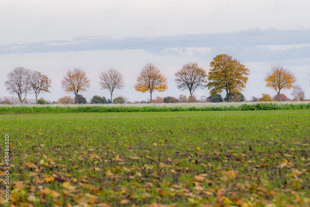 Bäume und Felder im Herbst