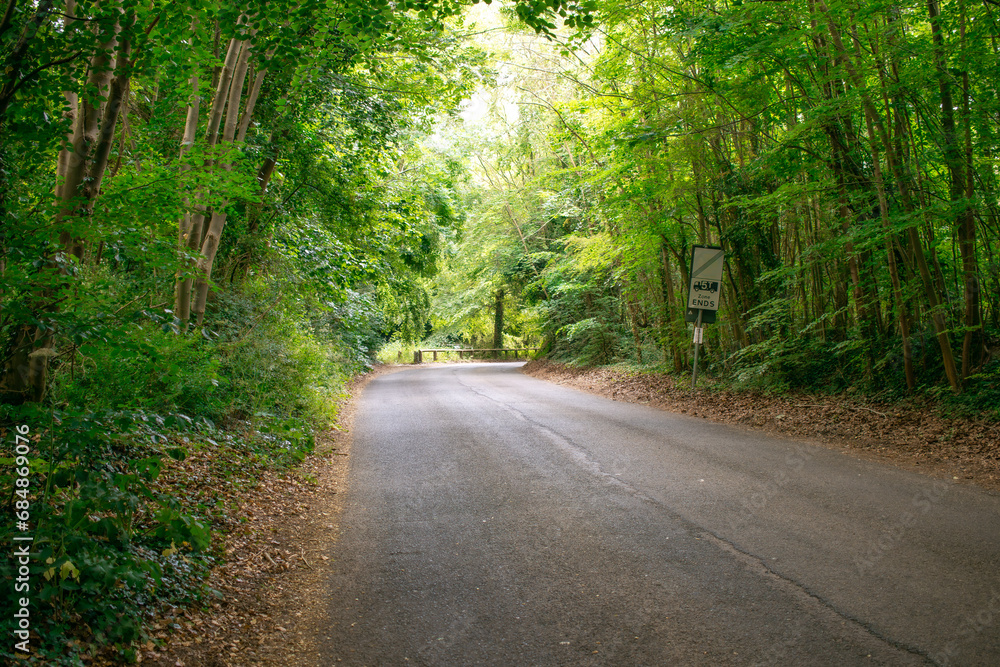 Asphalt Road and Leafy Green Tree Archway - Creating a Natural Tunnel Effect in a Serene Landscape Asphalt Road and Leafy Green Tree Archway - Creating a Natural Tunnel Effect in a Serene Landscape